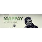05-03-2014 - mcs_marketing - Peter Maffay - banner.jpg